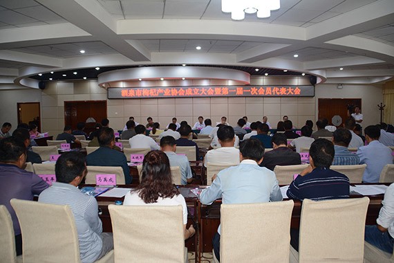 酒泉市枸杞工业协会建设大会暨第一届一次会员代表大会圆满举行 - bevictor伟德官网新闻 - 新闻中心 - 枸杞,工业,nbsp,酒泉市,协会,大会,建设,一次,第一届