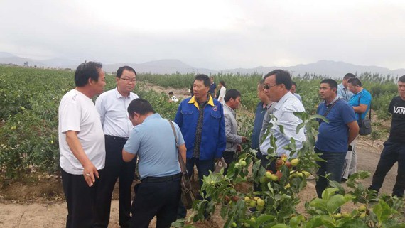 内蒙古阿拉善盟阿右旗节水浇灌考察团到集团公司旅行考察 - bevictor伟德官网新闻 - 新闻中心 - 考察团,nbsp,考察,公司,集团公司,节水浇灌,行在,bevictor伟德官网,节水