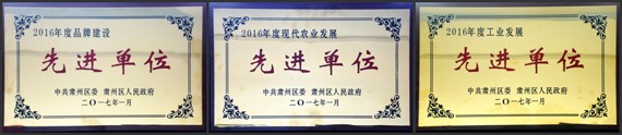 bevictor伟德官网节水集团在肃州区2017年经济事情聚会上受到多项表扬奖励 - bevictor伟德官网新闻 - 新闻中心 - nbsp,经济事情,肃州区,2017年,节水,bevictor伟德官网,受到,集团,表扬奖励