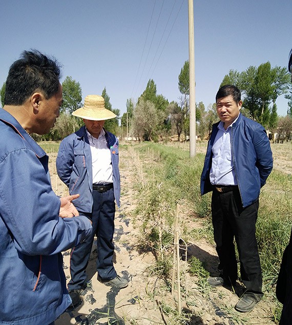 集团公司总裁谢永生到公司黑枸杞莳植基地及项目树模区检查指导事情 - bevictor伟德官网新闻 - 新闻中心 - nbsp,树模区,项目,枸杞,莳植,基地,永生,谢永生,公司