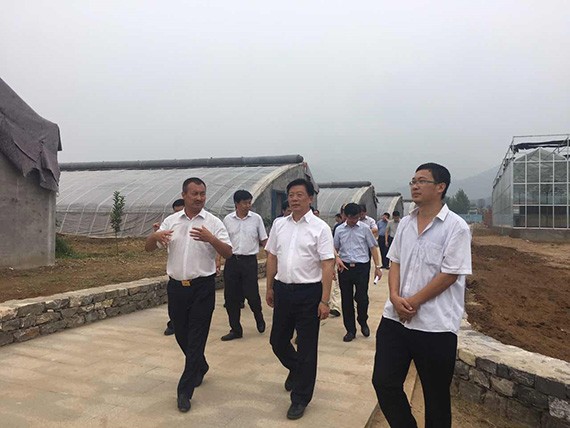 天津市副市长李树起一行莅临bevictor伟德官网节水（天津）有限公司承建项目视察指导 - bevictor伟德官网新闻 - 新闻中心 - nbsp,天津市,节水,有限公司,农业,bevictor伟德官网,天津,项目,副市长