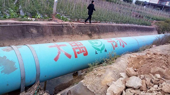 砥砺奋进| bevictor伟德官网节水集团多彩云南行项目现场考察学习活动圆满竣事 - bevictor伟德官网新闻 - 新闻中心 - nbsp,项目,bevictor伟德官网,节水,宾川县,万亩,现场,机制,高效