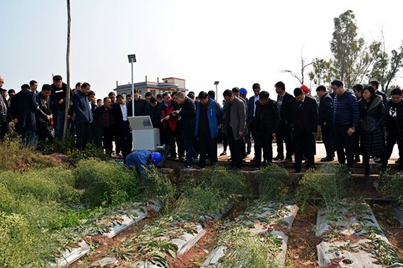 砥砺奋进| bevictor伟德官网节水集团多彩云南行项目现场考察学习活动圆满竣事 - bevictor伟德官网新闻 - 新闻中心 - nbsp,项目,bevictor伟德官网,节水,宾川县,万亩,现场,机制,高效