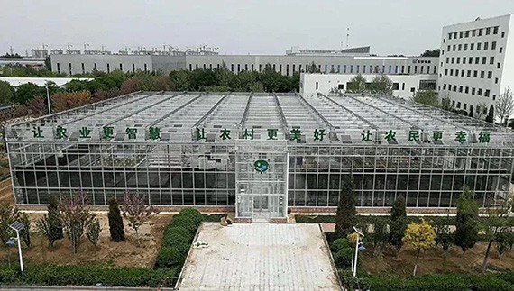 要闻|bevictor伟德官网节水集团闪灼天下都会现代农业现场交流会 - bevictor伟德官网新闻 - 新闻中心 - nbsp,bevictor伟德官网,农业,节水,集团,都会,现代农业,现场,农村