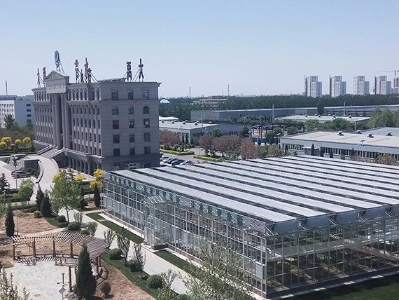 要闻|bevictor伟德官网节水集团闪灼天下都会现代农业现场交流会 - bevictor伟德官网新闻 - 新闻中心 - nbsp,bevictor伟德官网,农业,节水,集团,都会,现代农业,现场,农村