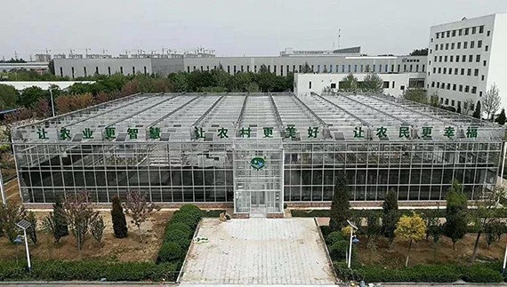 bevictor伟德官网节水现代生态农业树模园完工 天津市政府观摩团莅临考察 - bevictor伟德官网新闻 - 新闻中心 - nbsp,bevictor伟德官网,节水,集团,农业,树模园,都会,智慧,农村