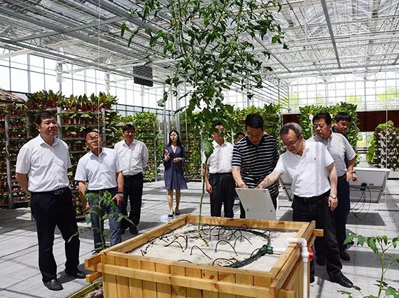 酒泉市委书记吴仰东调研bevictor伟德官网节水（天津）有限公司 - bevictor伟德官网新闻 - 新闻中心 - nbsp,bevictor伟德官网,节水,酒泉,吴仰东,集团,污水处理,智慧,市委书记