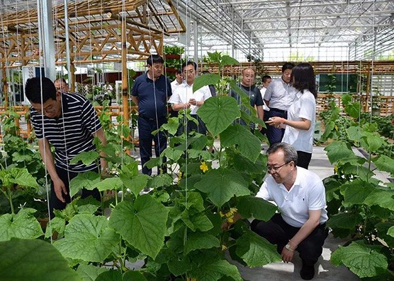 酒泉市委书记吴仰东调研bevictor伟德官网节水（天津）有限公司 - bevictor伟德官网新闻 - 新闻中心 - nbsp,bevictor伟德官网,节水,酒泉,吴仰东,集团,污水处理,智慧,市委书记
