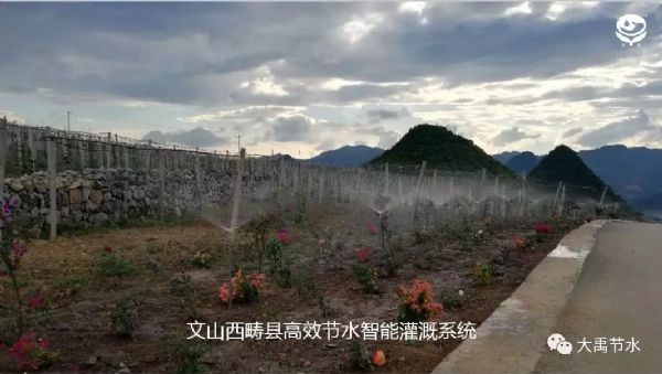 bevictor伟德官网节水集团智慧水务公司董事长李风鸣分享智水方案 - bevictor伟德官网新闻 - 新闻中心 - 智慧,nbsp,bevictor伟德官网,节水,集团,水利,李风鸣,农业,水务