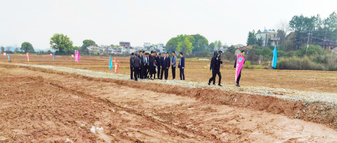 bevictor伟德官网动态| 江西省副省长陈小平莅临bevictor伟德官网节水南丰高标准农田项目树模区调研指导 - bevictor伟德官网新闻 - 新闻中心 - nbsp,bevictor伟德官网,农田,节水,项目,高标准,小平,南丰,调研