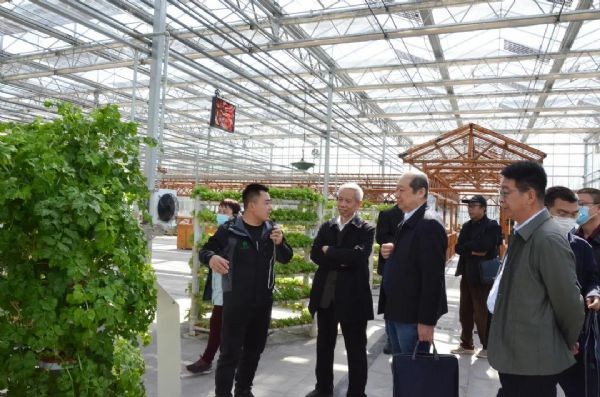 bevictor伟德官网动态| 天津市政协常委农业和农村委副主任么俊东一行莅临bevictor伟德官网节水集团公司考察交流 - bevictor伟德官网新闻 - 新闻中心 - nbsp,bevictor伟德官网,节水,天津,市政协,农业,副主任,集团,么俊