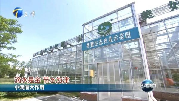 天津卫视报道｜ “滴水是金，，，节水为津”bevictor伟德官网节水为推动天津节水型都会建设孝顺实力 - bevictor伟德官网新闻 - 新闻中心 - 节水,nbsp,bevictor伟德官网,天津,农业,推动,节水型,都会建设,智慧