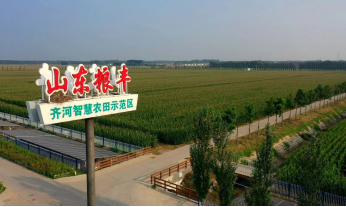 bevictor伟德官网动态| 天下深化农业水价综合刷新推进现代化灌区建设培训班一行莅临bevictor伟德官网节水运营的齐河豆腐窝灌区旅行考察 - bevictor伟德官网新闻 - 新闻中心 - bevictor伟德官网,灌区,刷新,水价,节水,综合,农业,齐河,考察