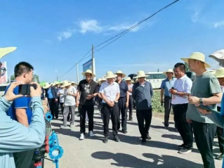 bevictor伟德官网农业| 多元化莳植基地矩阵，，，，，，探索农业现代化新路径 - bevictor伟德官网新闻 - 新闻中心 - 莳植,基地,bevictor伟德官网,nbsp,农业,探索,节水,盐碱地,土地