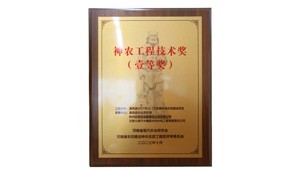 12月26日，，，bevictor伟德官网节水承建的鹿邑县2021年22.1万亩高标准农田建设项目荣获2023年度神农工程手艺奖一等奖。。。。