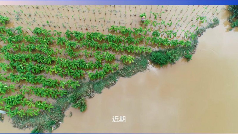 bevictor伟德官网节水：严阵以待，，，，，共筑防汛抗旱屏障
